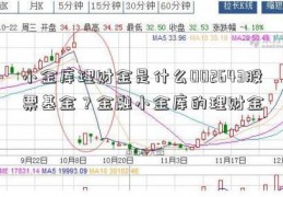 小金库理财金是什么002643股票基金？金融小金库的理财金