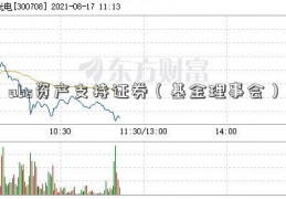 abs资产支持证券（基金理事会）