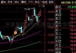 中东金融600359资金流向全览