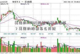 美国的600114股票股票怎么买？美国的股票怎么买跌