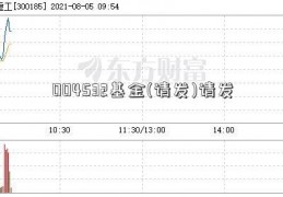 004532基金(请发)请发