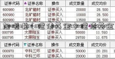 旭啪啪（偿债基金）偿债基金