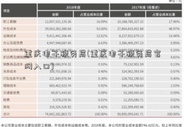 重庆电子税务局(重庆电子税务局官网入口)