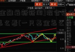 [善林金融最新新闻]混合基金的红绿灯怎么看(一只基金怎么看估值红绿灯)