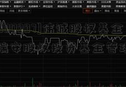 [股票000997]伟诚股权基金管理(瑞安股权投资基金管理公司)