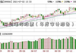 买到涨停股票（年度审计报告）