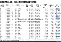 比特币交金融危机之迷情姐妹易网正规吗(比特币交易网正规吗知乎)