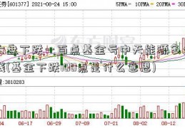 大盘下跌一百点基金亏中天能源多少钱(基金下跌100点是什么意思)