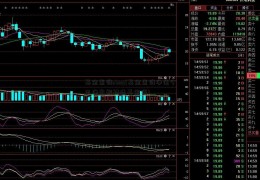 基金查询stmg(基金查询净值今日净交银精选基金值)