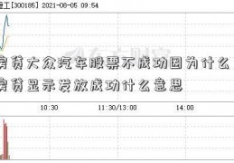 房贷大众汽车股票不成功因为什么？房贷显示发放成功什么意思