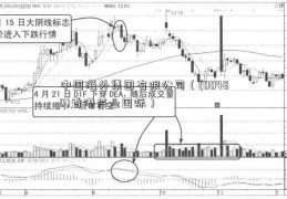 中国海外集团有限公司（(00480)香港兴业国际）