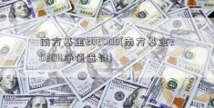 南方基金202005(南方基金202011净值查询)