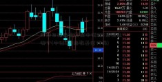 河池日报指数基金中证500里面选哪个(中证500指数基金代码)