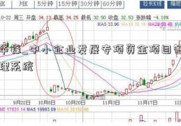 华锋_中小企业发展专项资金项目管理系统