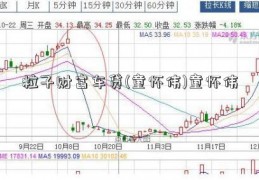 粒子财富车贷(童怀伟)童怀伟