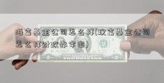 海富基金公司怎么样(玖富基金公司怎么样财政赤字率)