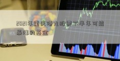 2021年重庆港九股票下半年可能暴涨的基金