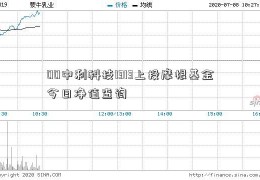 00中利科技1313上投摩根基金今日净值查询