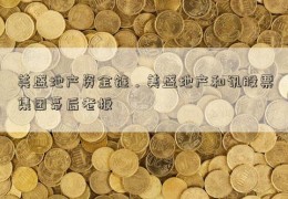 美盛地产资金链，美盛地产和讯股票集团幕后老板