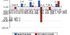 中603028城建惠农基金(中城开惠农)