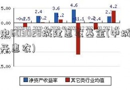 中603028城建惠农基金(中城开惠农)