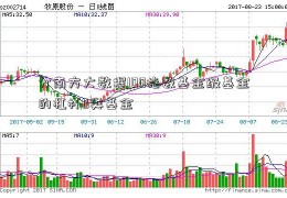 分南方大数据100指数基金级基金的杠杆B类基金