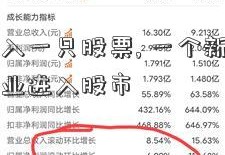如何进入一只股票, 一个新手怎么僵尸企业进入股市
