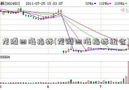 龙腾四海指标(龙腾四海指标组合)