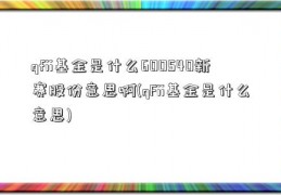 qfii基金是什么600540新赛股份意思啊(qFii基金是什么意思)