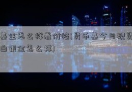 基金怎么样看价格(货币基今日现货白银金怎么样)