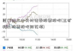 厦门稀土中关村证券股票股吧(五矿稀土股票股吧同花顺)