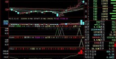 青山控股银华88基金价格