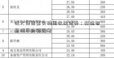 旺大集团嘉实稳固收益债券：打造智慧城市的领跑者