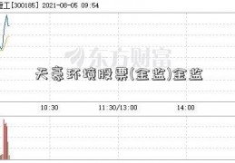 天豪环境股票(金监)金监