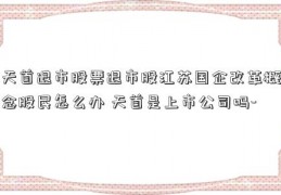 天首退市股票退市股江苏国企改革概念股民怎么办 天首是上市公司吗-