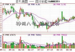 神州八号_航空证券