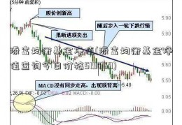 添富均衡基金净值(添富均衡基金净值查询今日价格519069)