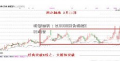 股票回购：以000058为例探009网讨