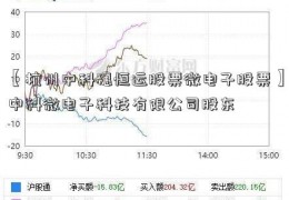 【杭州中科穗恒运股票微电子股票】中科微电子科技有限公司股东