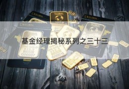 基金经理揭秘系列之三十三