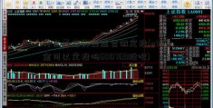 什么基金类型适合做定投(etf基金可以定投吗600769股吧)