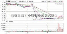 全部基金（中国核电股票代码）