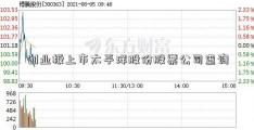 创业板上市太平洋股份股票公司查询