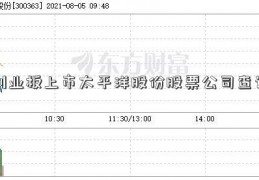 创业板上市太平洋股份股票公司查询