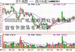 000529广弘控股绥化市农业基金会欠款怎么处理的