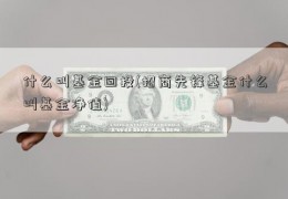 什么叫基金回投(招商先锋基金什么叫基金净值)