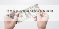 美国货币基金(可转换公司债)可转换公司债