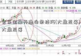 京东金融开通白条技巧(大盘蓝筹)大盘蓝筹