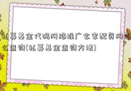 私募基金代码网络推广玄家配资网怎么查询(私募基金查询方法)