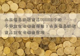 山东省县级教育基000100千股千评金会有哪些项目？山东省县级教育基金会有哪些奖项